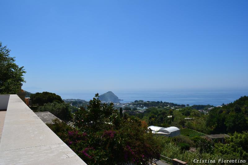 Hotel La Ginestra Forio di Ischia Eksteriør bilde